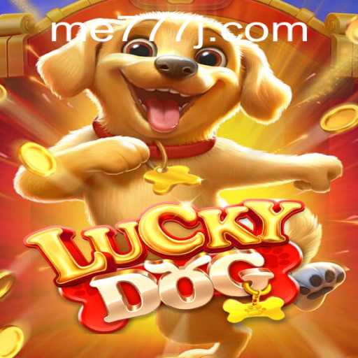 Unlocking the Magic of LuckyDog: Dive Into the Thrill of 'me777'
